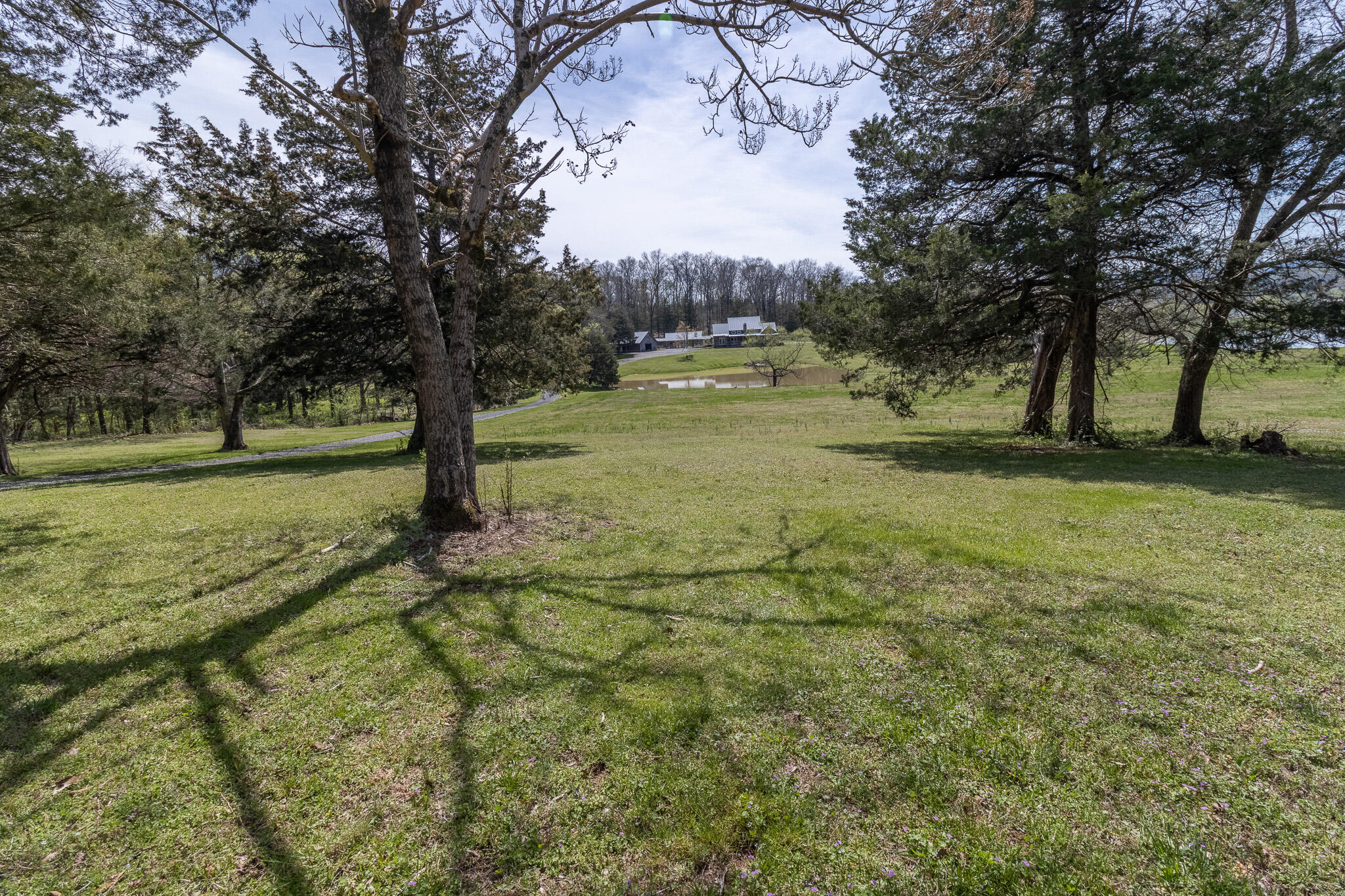 188 Johnny Lewis Road, Dunlap, Tennessee image 4