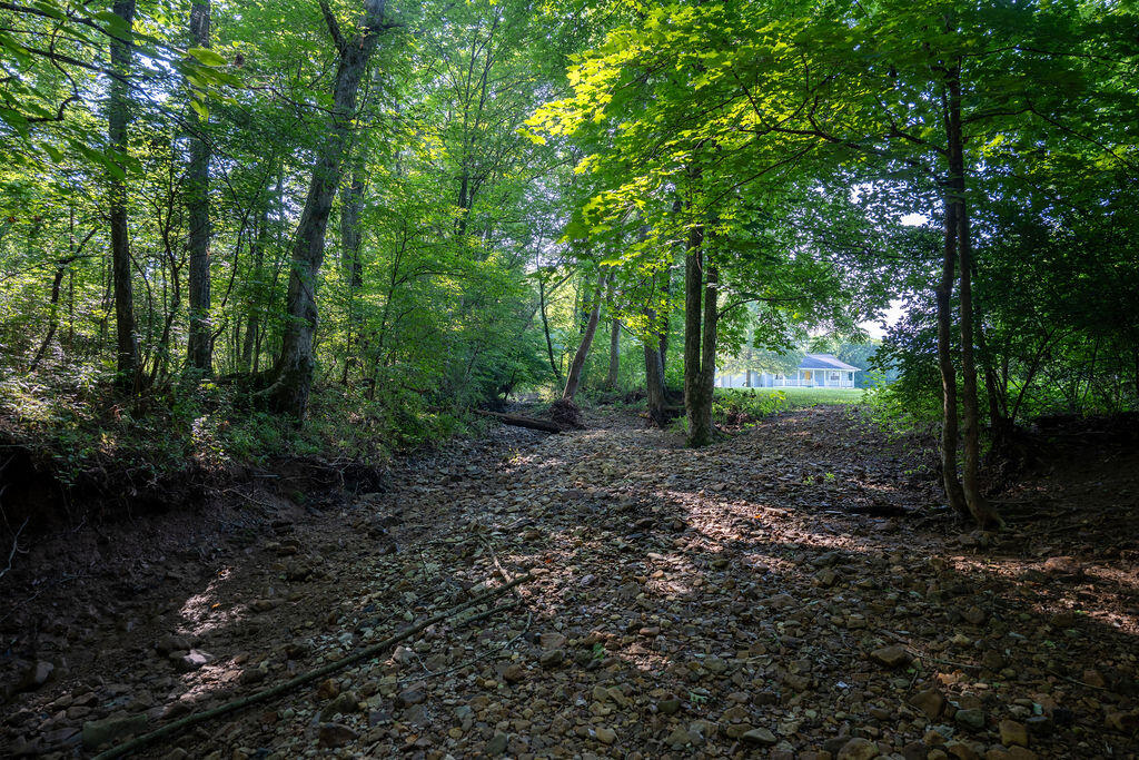 Trenton, Georgia 30752, United States, 3 Bedrooms Bedrooms, ,2 BathroomsBathrooms,Residential,Active,159242