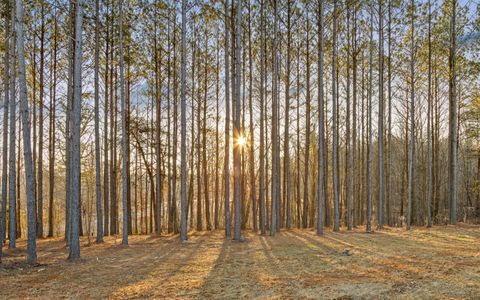 Tiny photo for 220 High Point Lane, Jasper, TN 37347 (MLS # 1529134)