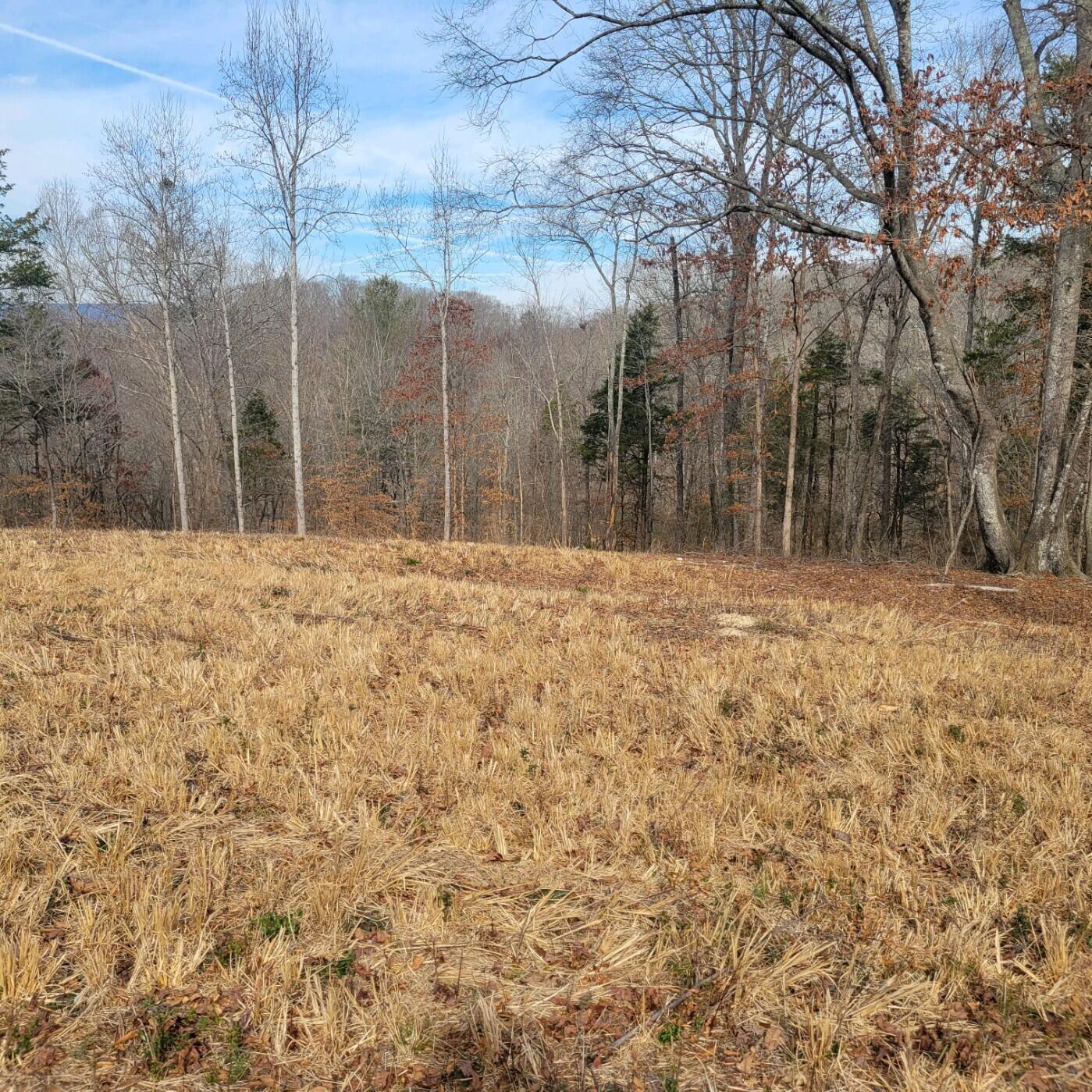 865 Nature Trail, Soddy Daisy, Tennessee image 4
