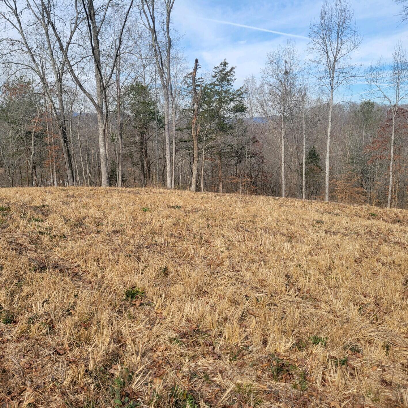 865 Nature Trail, Soddy Daisy, Tennessee image 5