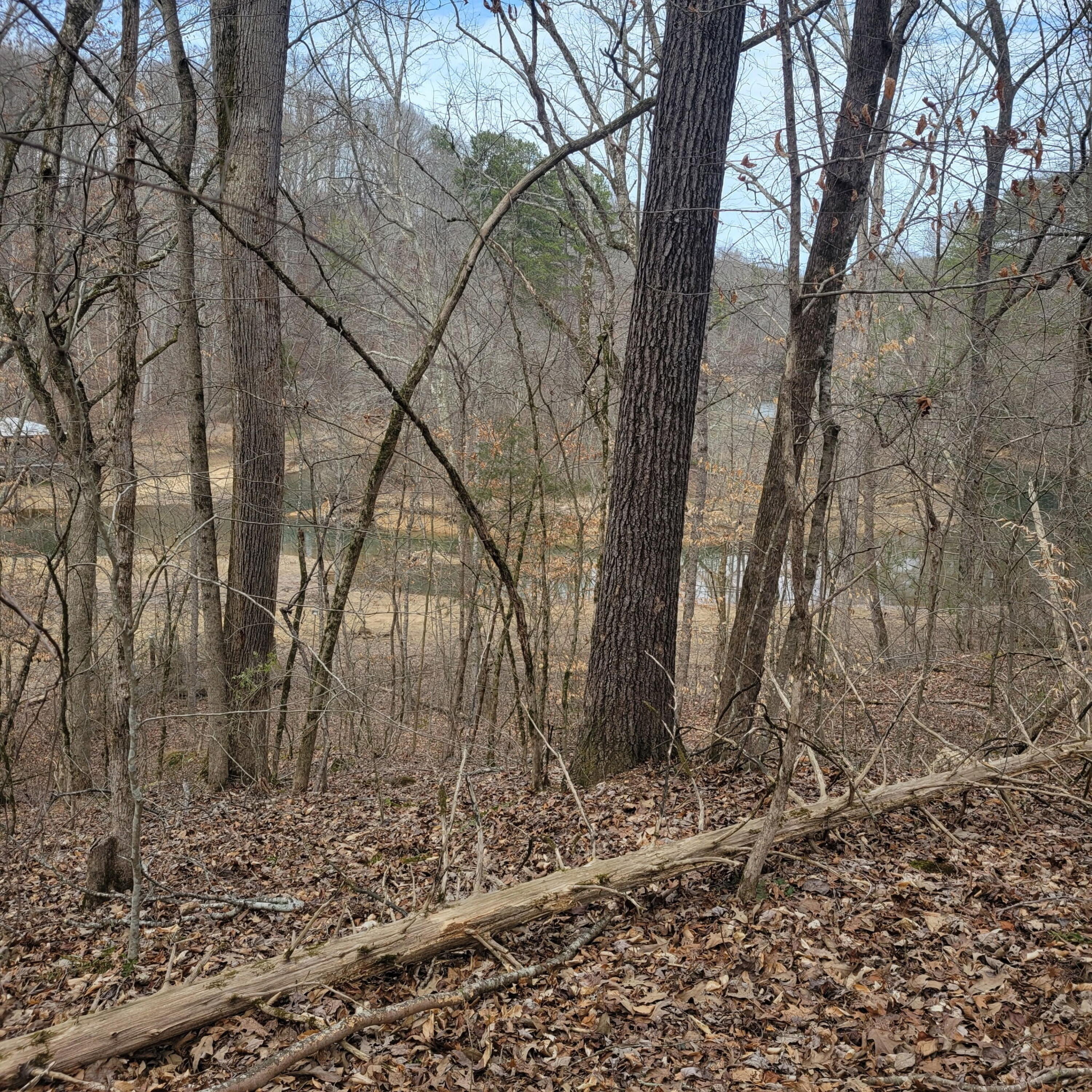 865 Nature Trail, Soddy Daisy, Tennessee image 8