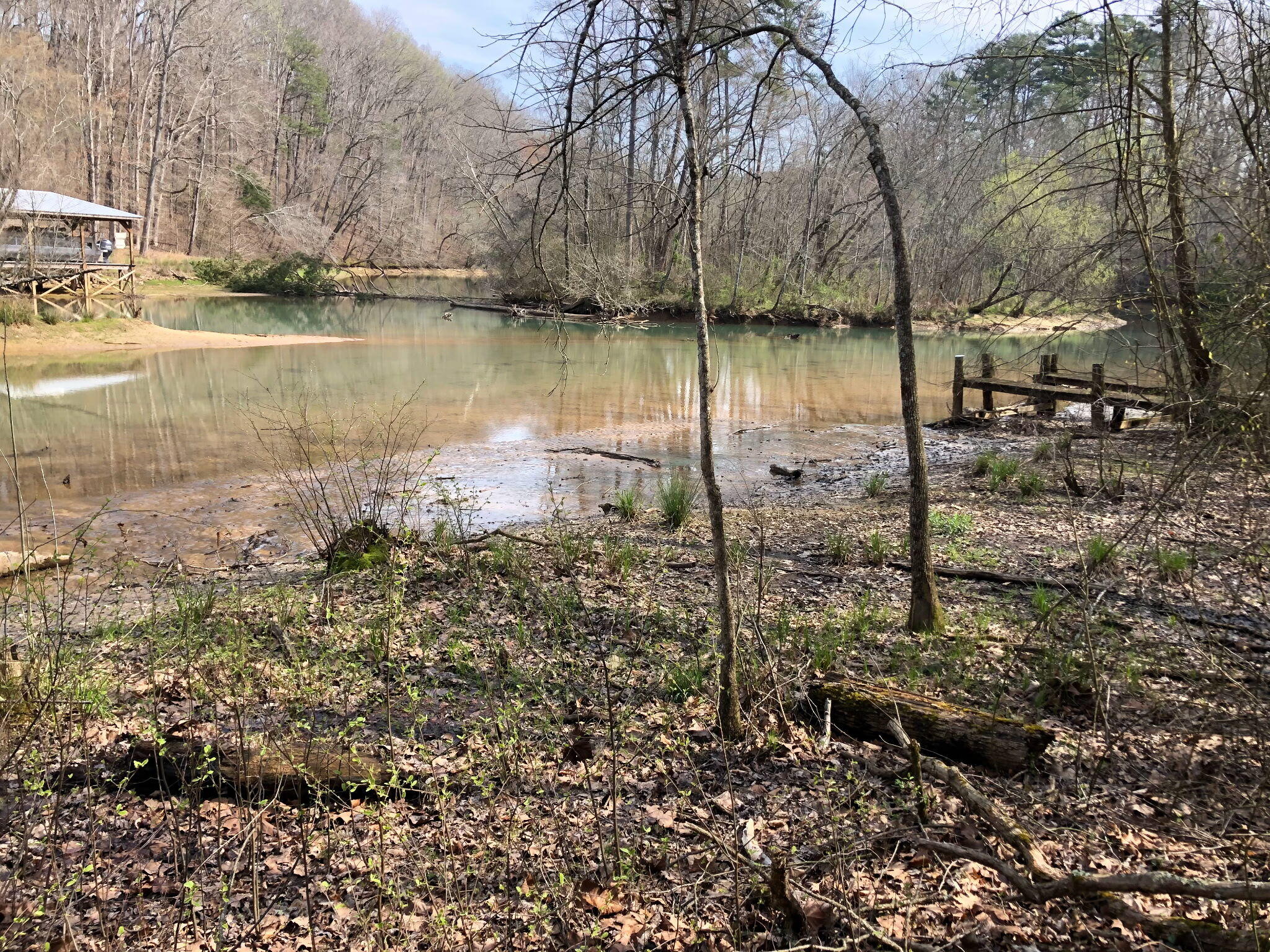 865 Nature Trail, Soddy Daisy, Tennessee image 1