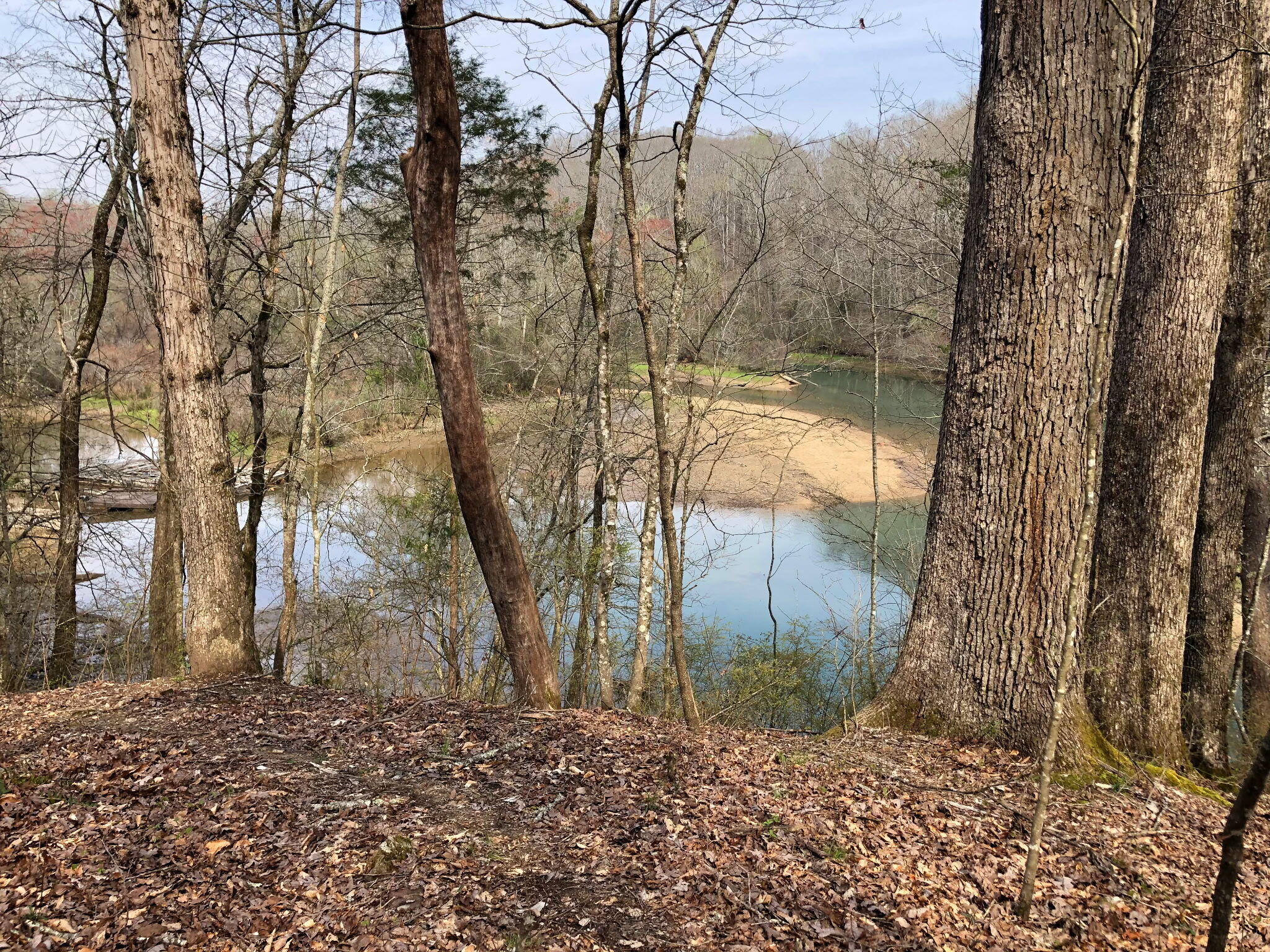 865 Nature Trail, Soddy Daisy, Tennessee image 10