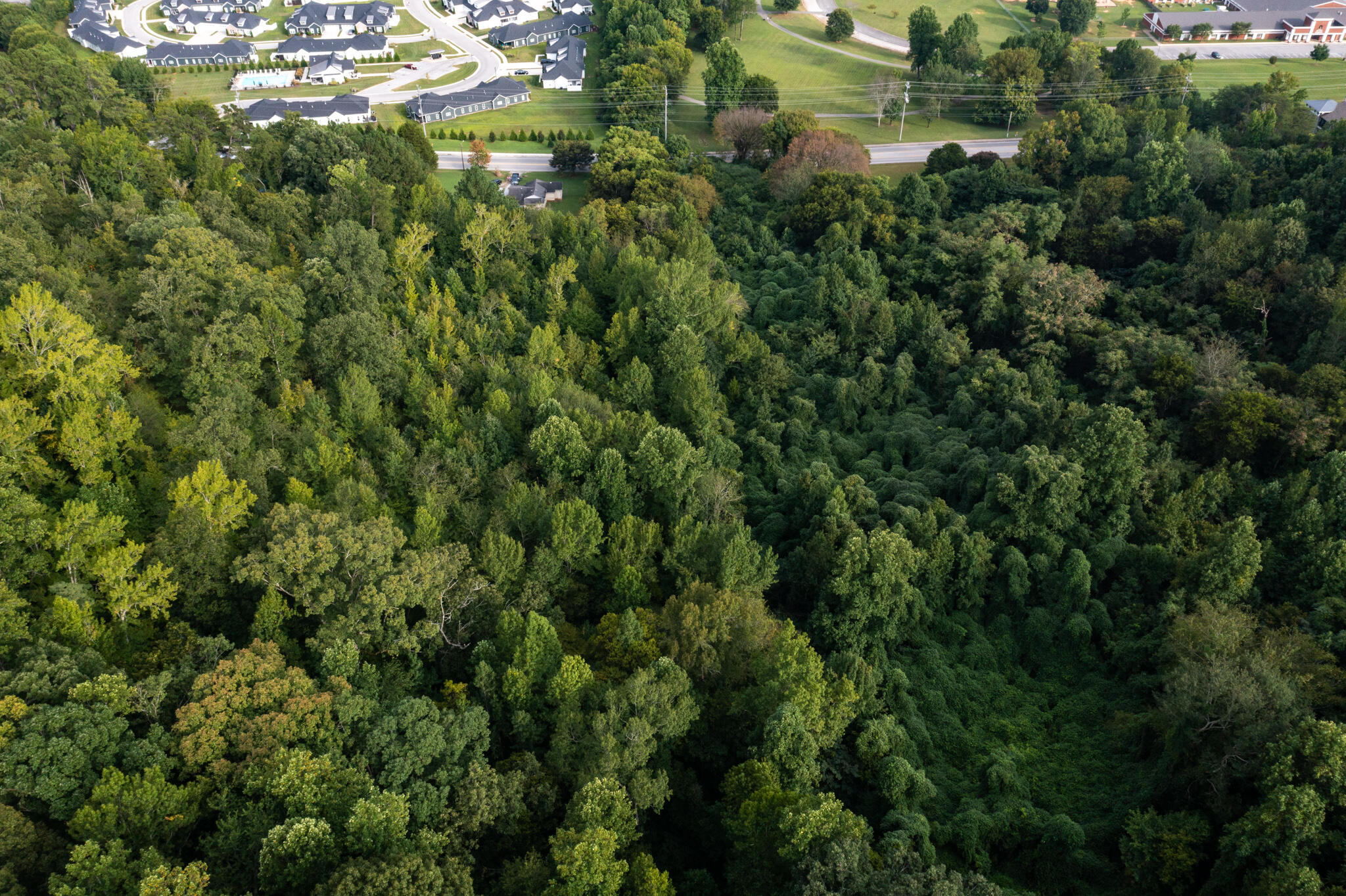 1123 Mountain Creek Road, Chat Road, Chattanooga, Tennessee image 6