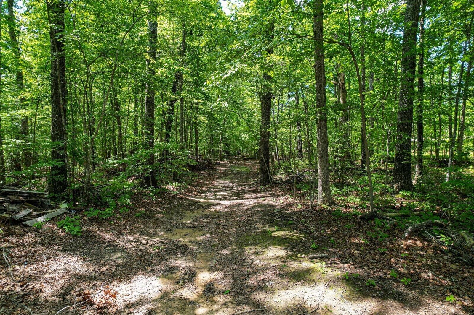 152 Black Mountain Road, Dunlap, Tennessee image 47