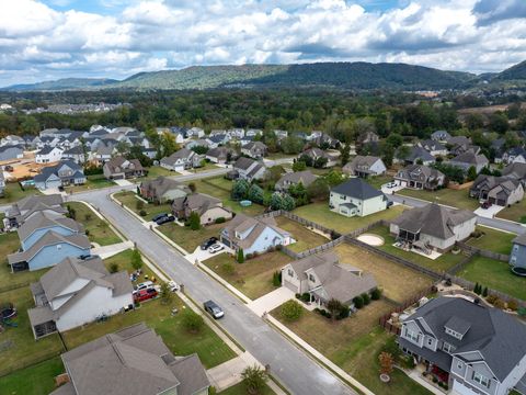 Tiny photo for 7470 Blazing Star Court, Ooltewah, TN 37363 (MLS # 1521739)