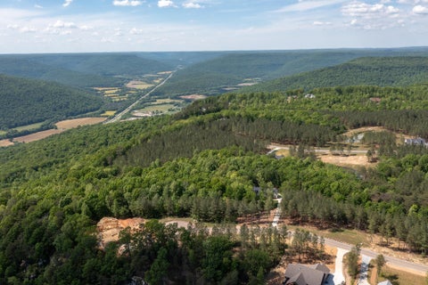 Vacant Land For Sale - LOT 175 Crockett Pointe Loop<br/> Jasper, TN 37347
