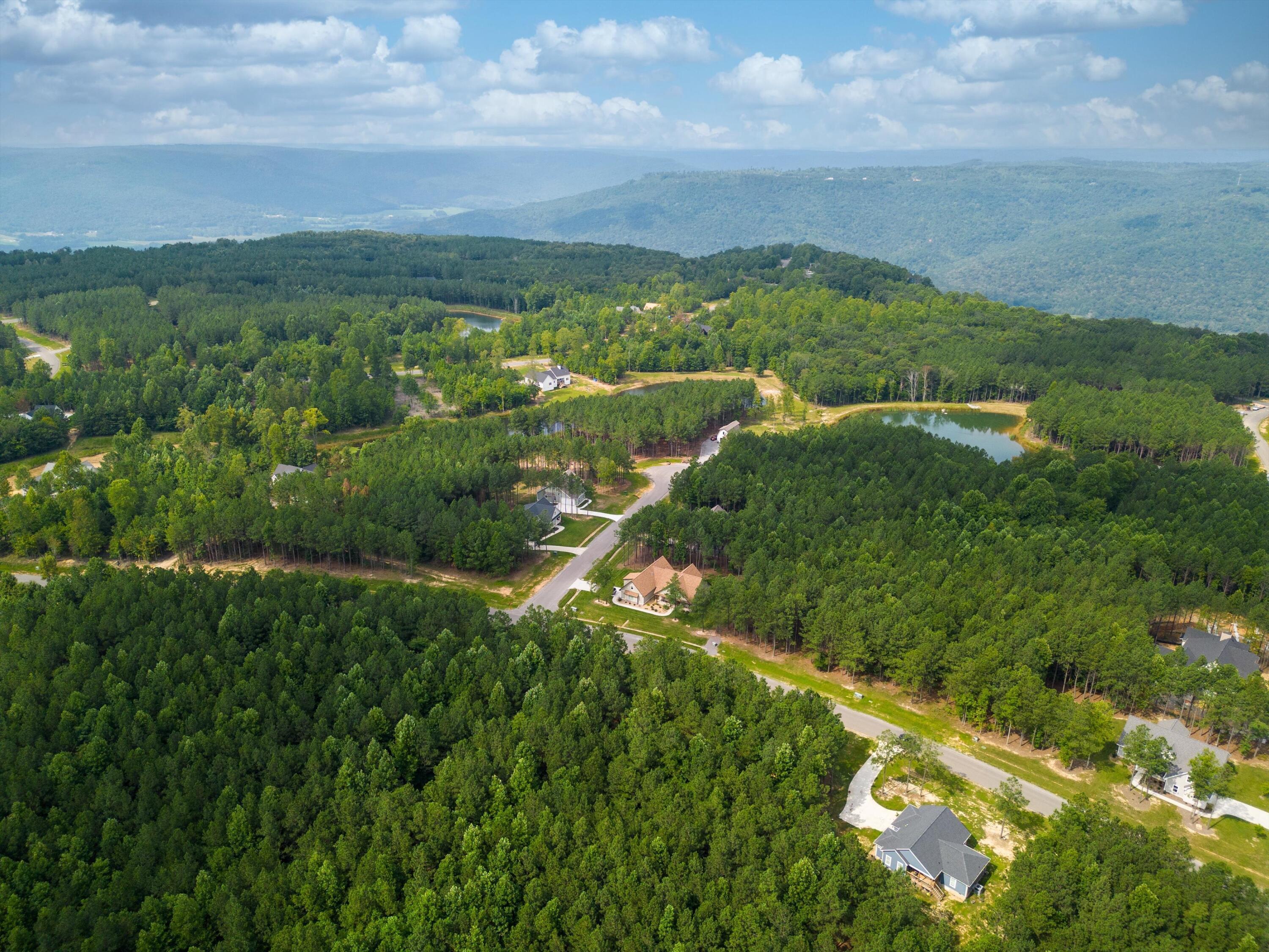 3525 Crockett Point #JF135, Jasper, Tennessee image 10