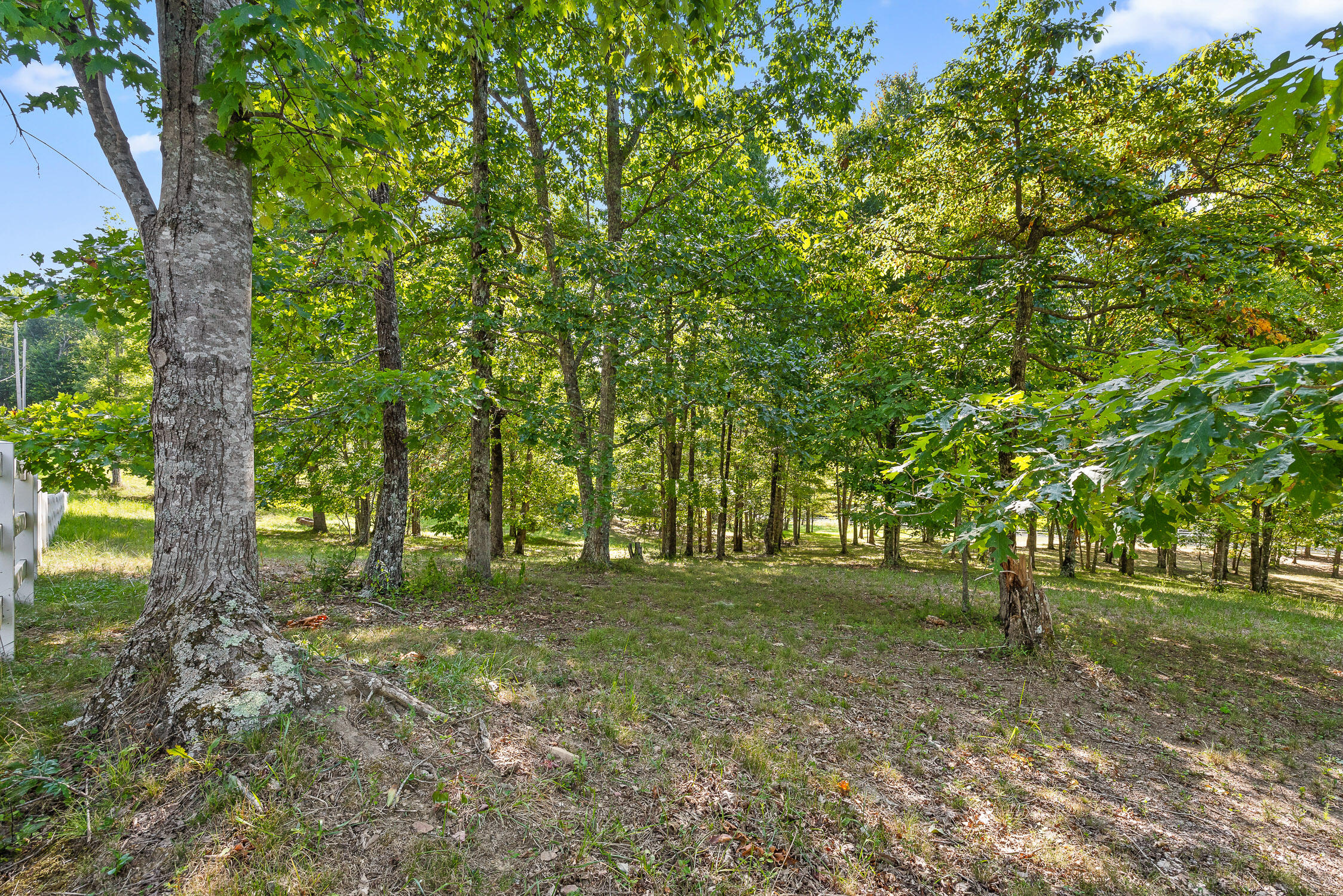 68 Bluff View Drive, Dunlap, Tennessee image 6