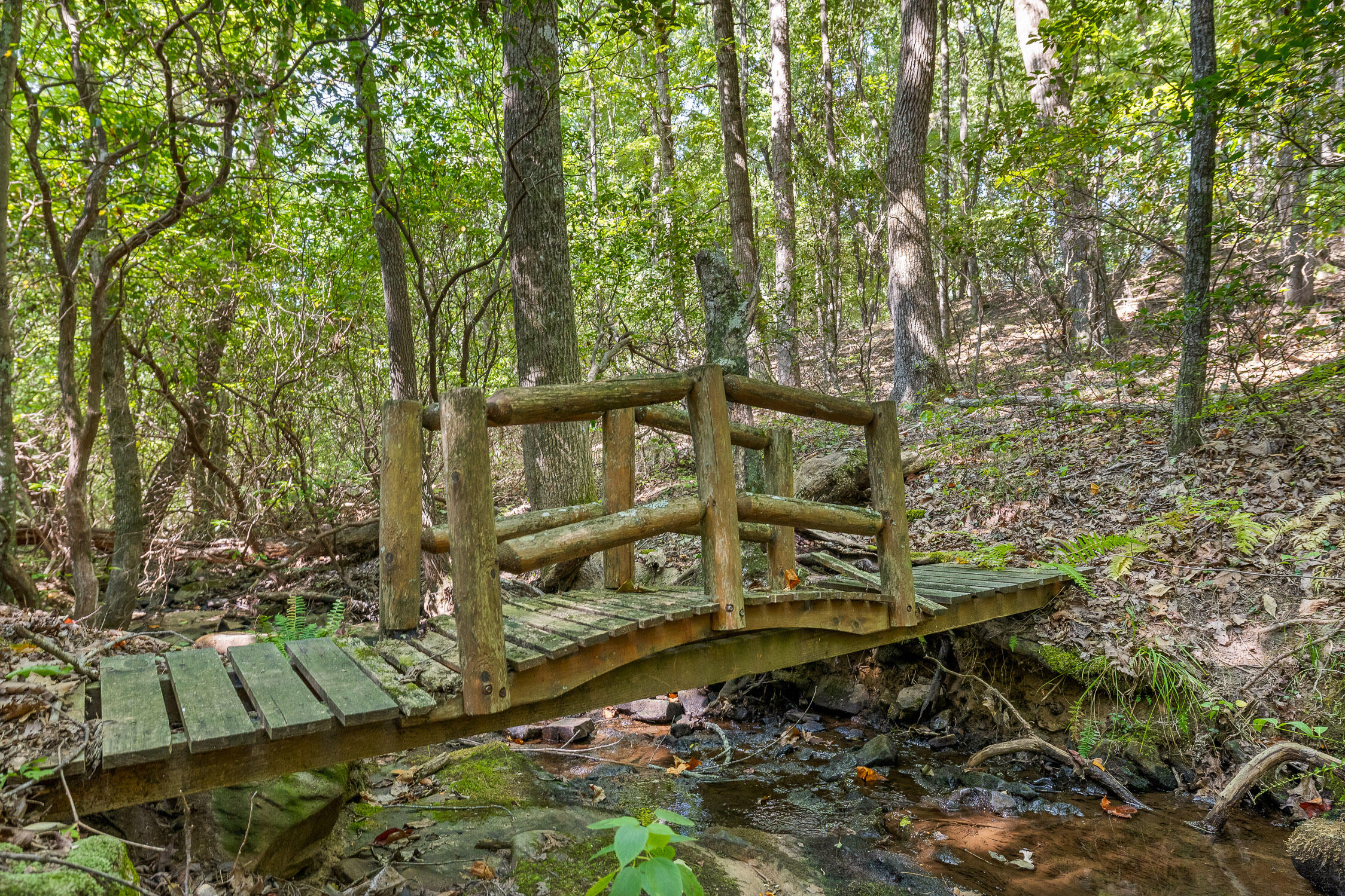 68 Bluff View Drive, Dunlap, Tennessee image 7