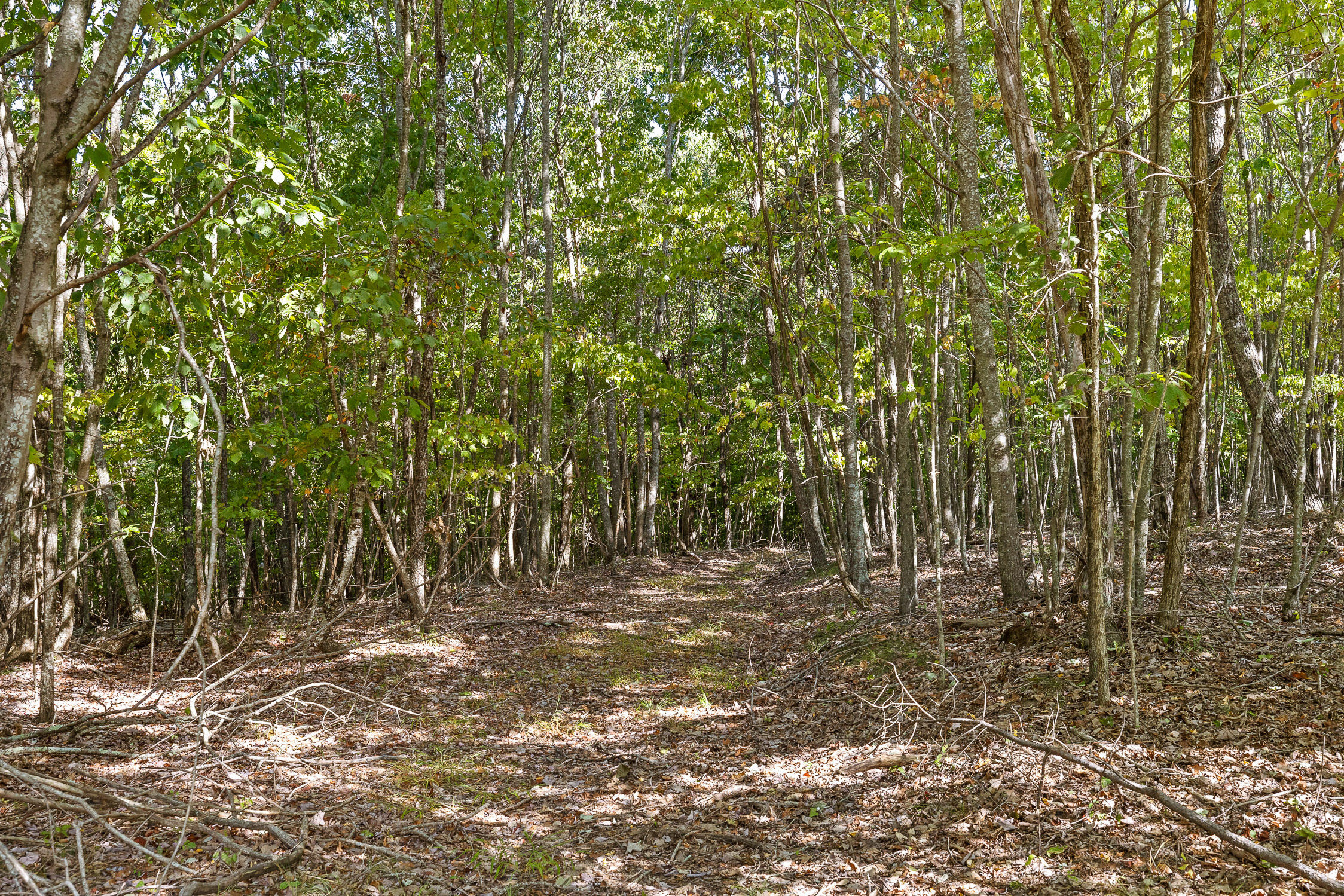 68 Bluff View Drive, Dunlap, Tennessee image 10