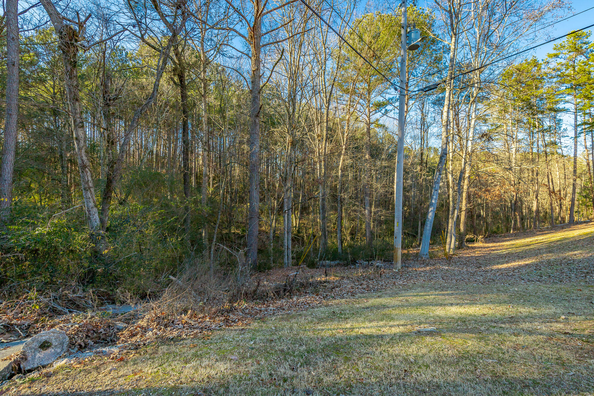 French Street #LOT 9, Rossville, Georgia image 2