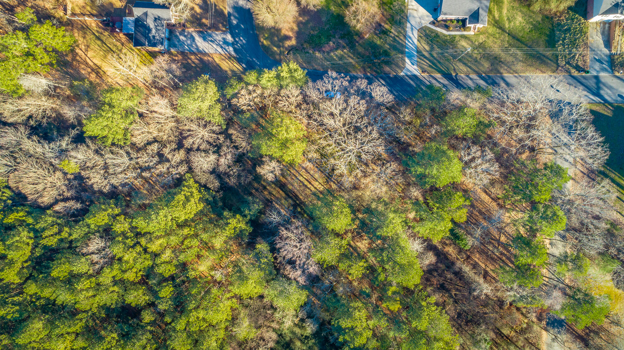 French Street #LOT 9, Rossville, Georgia image 9