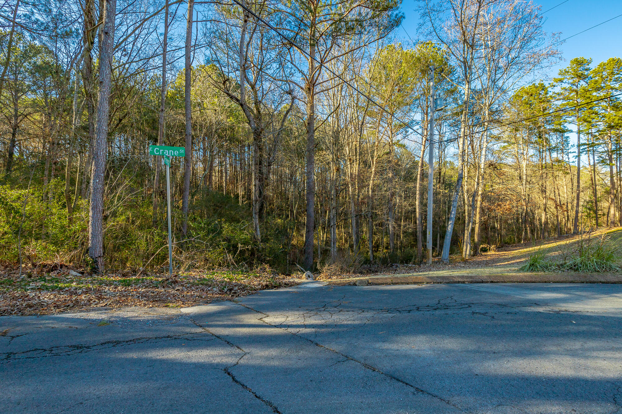 French Street #LOT 9, Rossville, Georgia image 7