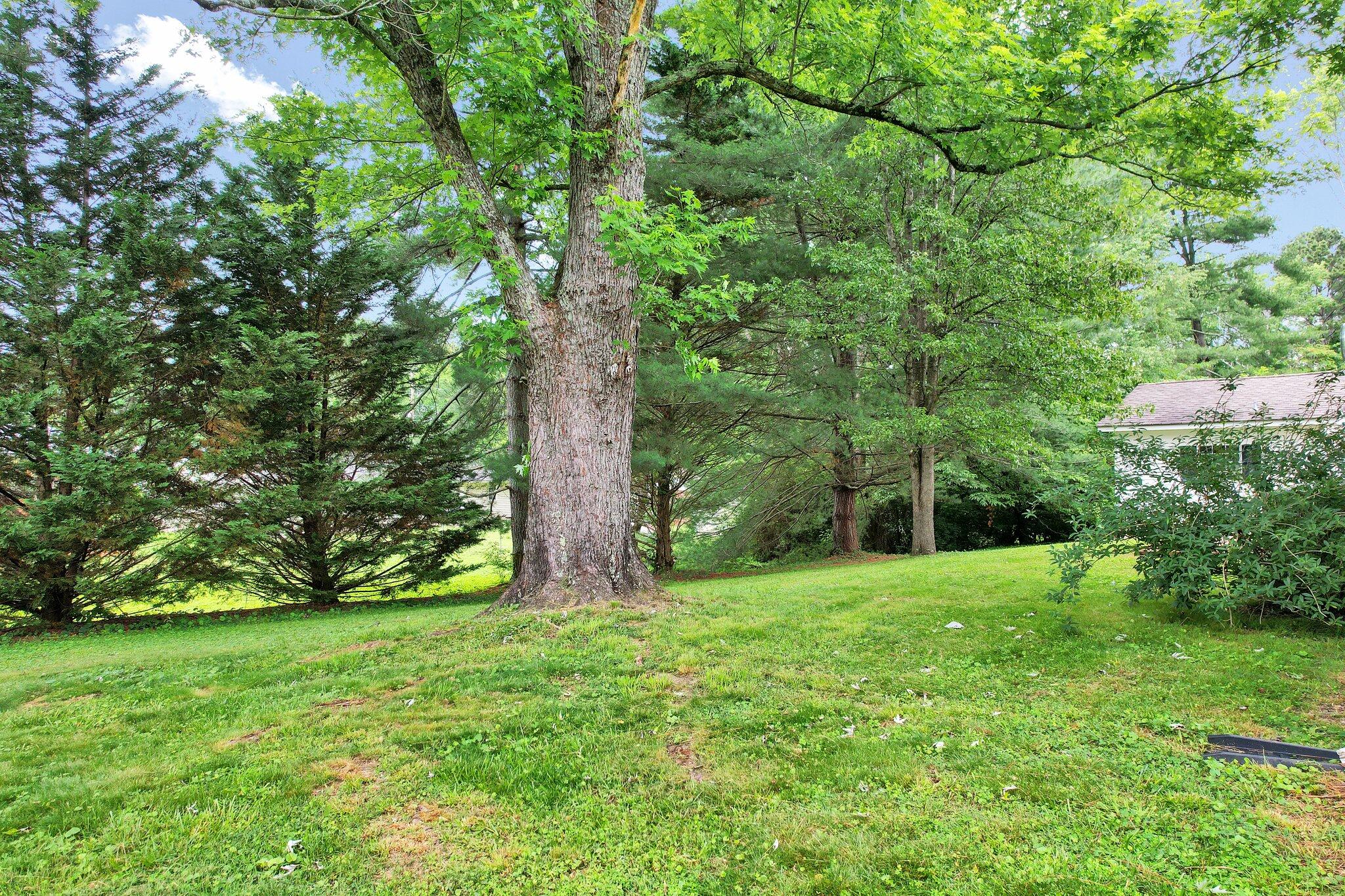 3743 Springdale Drive, Cleveland, Tennessee image 8