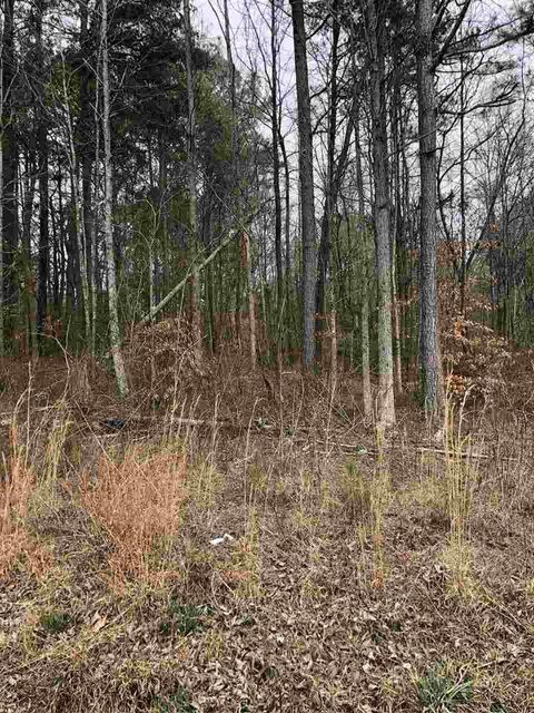 Vacant Land For Sale - Green Shadow Road<br/> Cleveland, TN 37323