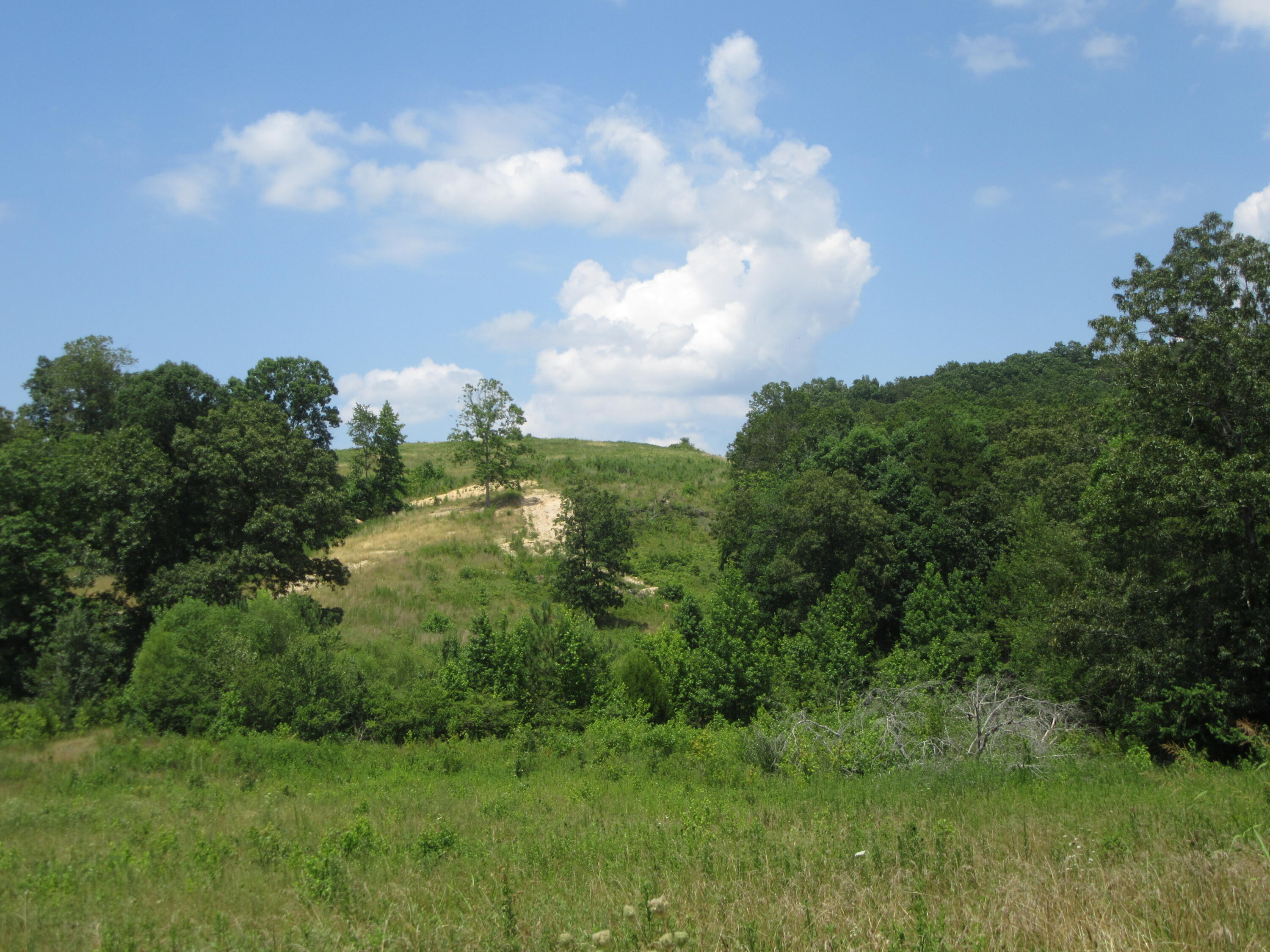 7118 Garfield Road, Harrison, Tennessee image 9