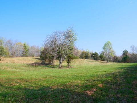 Photo of 0 Daugherty Ferry Road, Sale Creek, TN 37373 (MLS # 1531587)