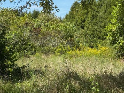 1235 Tatesville Road Palmer TN 37365