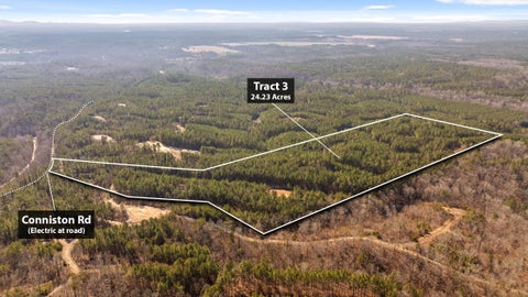 Vacant Land For Sale - TRACT 3 Conniston Road<br/> Chatsworth, GA 30705