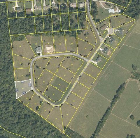 Photo of 405 Overlook Drive, Dayton, TN 37321 (MLS # 1360640)