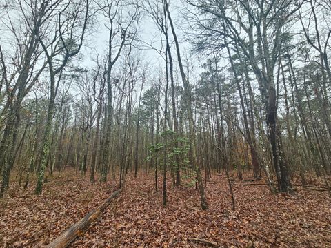 Tiny photo for 16 Highway 150, Sequatchie, TN 37374 (MLS # 1528123)