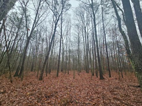 Photo of 16 Highway 150, Sequatchie, TN 37374 (MLS # 1528123)