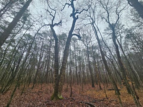 Tiny photo for 16 Highway 150, Sequatchie, TN 37374 (MLS # 1528123)