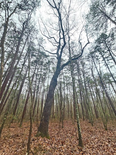 Tiny photo for 16 Highway 150, Sequatchie, TN 37374 (MLS # 1528123)