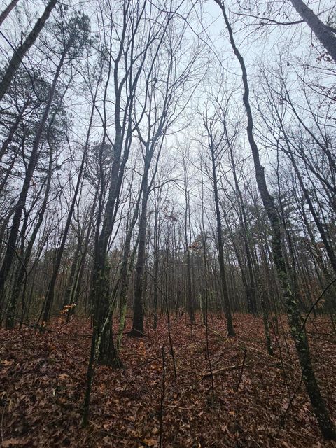 Tiny photo for 16 Highway 150, Sequatchie, TN 37374 (MLS # 1528123)