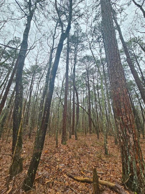 Tiny photo for 16 Highway 150, Sequatchie, TN 37374 (MLS # 1528123)