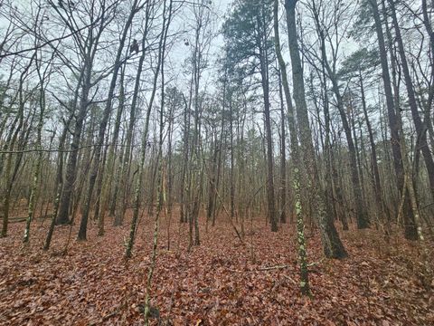 Tiny photo for 16 Highway 150, Sequatchie, TN 37374 (MLS # 1528123)