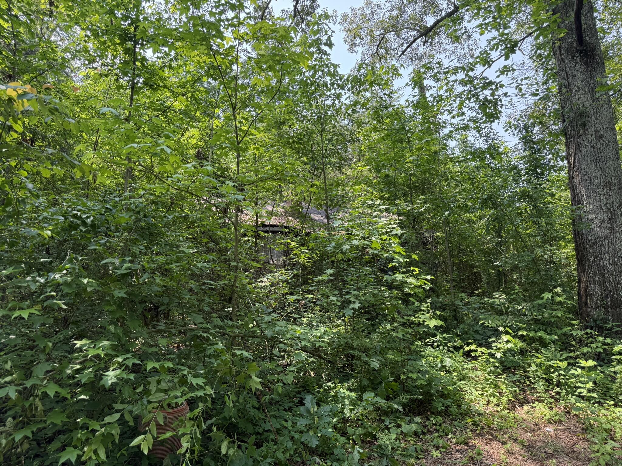 Bryant, Alabama 35958, United States, ,Land,Active,149410