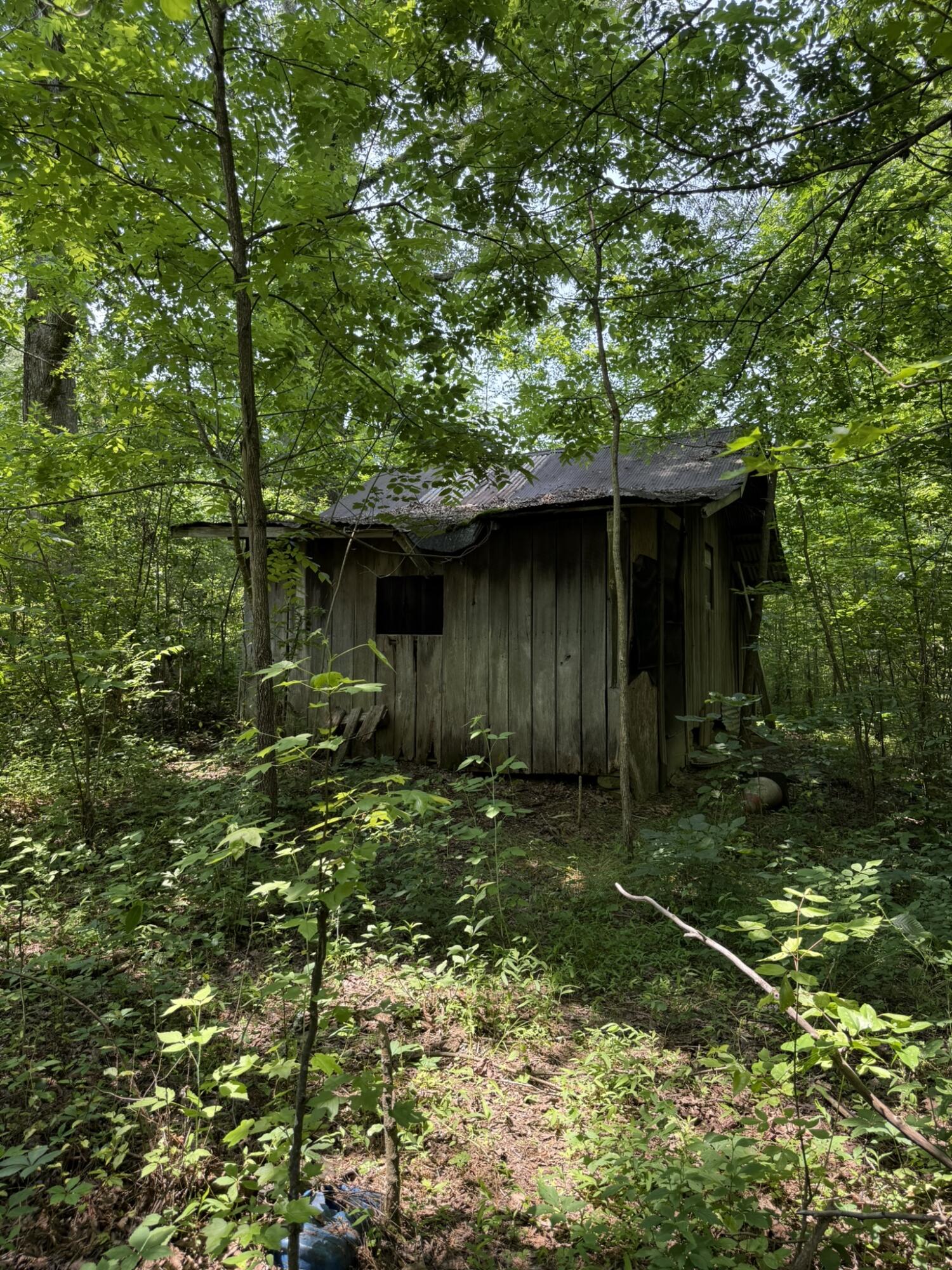 Bryant, Alabama 35958, United States, ,Land,Active,149410