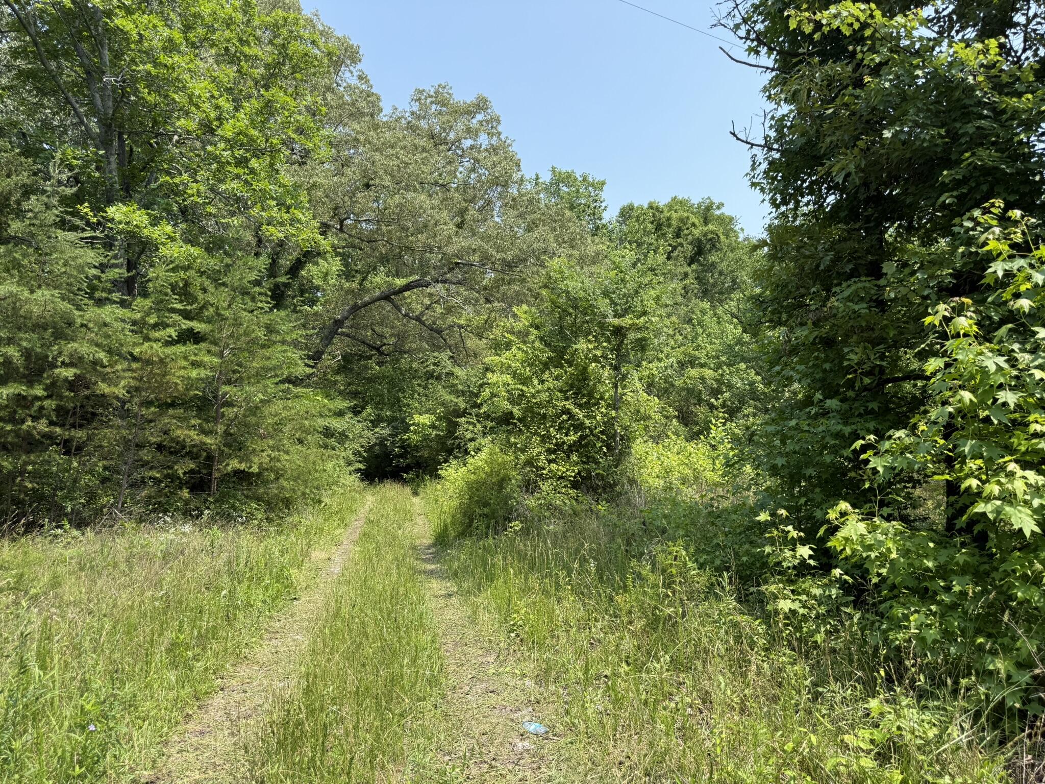 Bryant, Alabama 35958, United States, ,Land,Active,149410