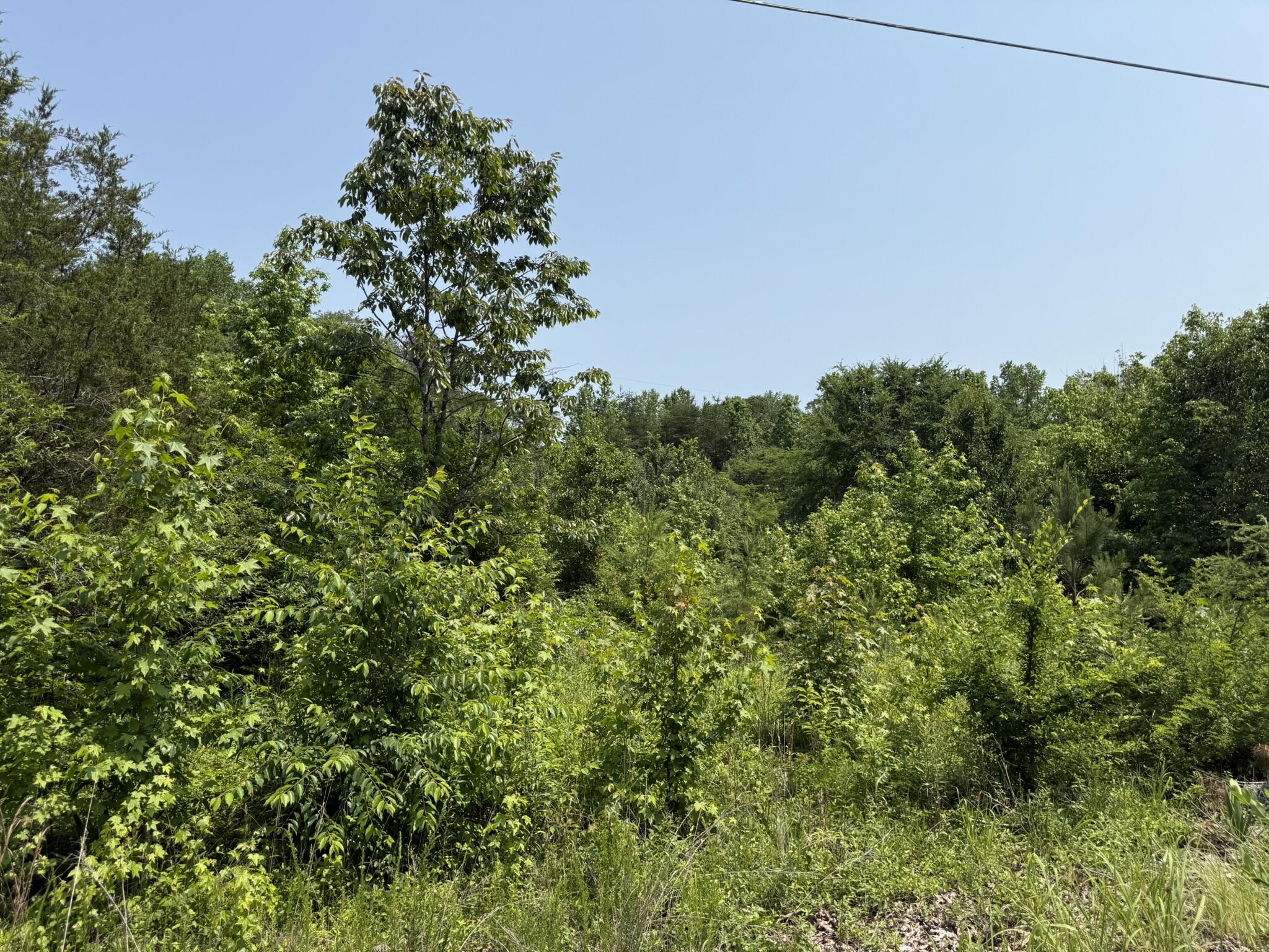 Bryant, Alabama 35958, United States, ,Land,Active,149410