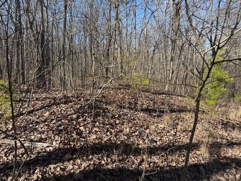 Vacant Land For Sale - LOT 10B Shadowland Drive<br/> Graysville, TN 37338