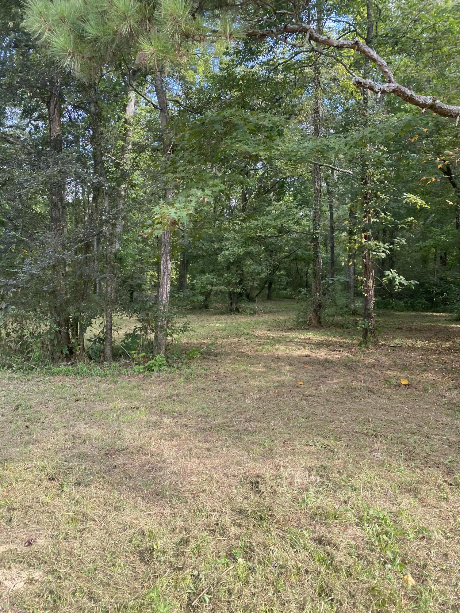 00 Cohutta Beaverdale Road, Cohutta, Georgia image 30