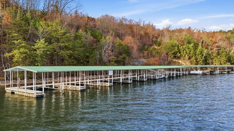 Vacant Land For Sale - 481 Hidden Forest Trail<br/> Spring City, TN 37381