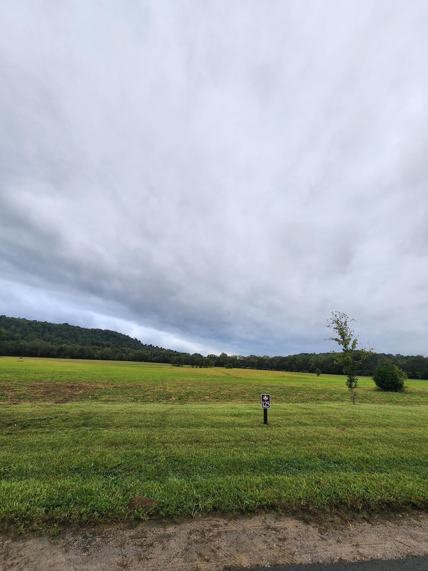 125 River Ridge Drive, Dunlap, Tennessee image 1