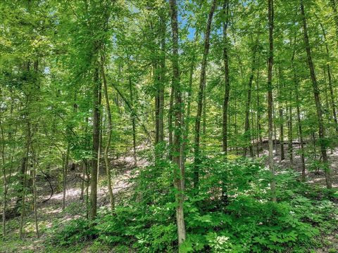 Tiny photo for 0 Park Drive, Dayton, TN 37321 (MLS # 1526614)