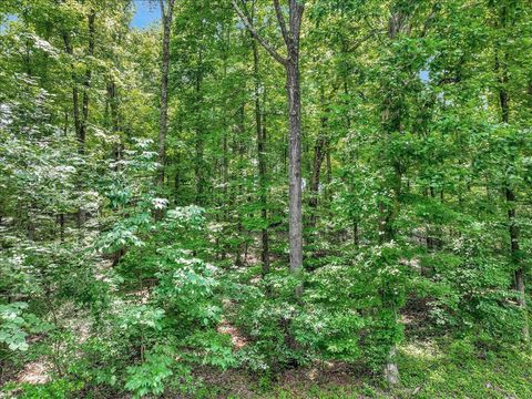 Tiny photo for 0 Park Drive, Dayton, TN 37321 (MLS # 1526614)