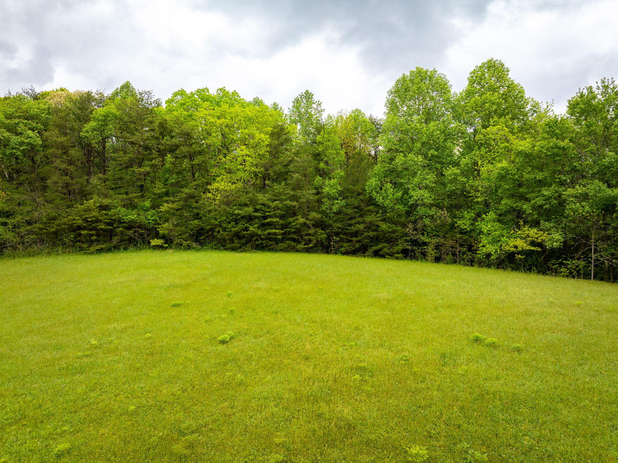 Blaine Smith Road #TRACT 7, Graysville, Tennessee image 6
