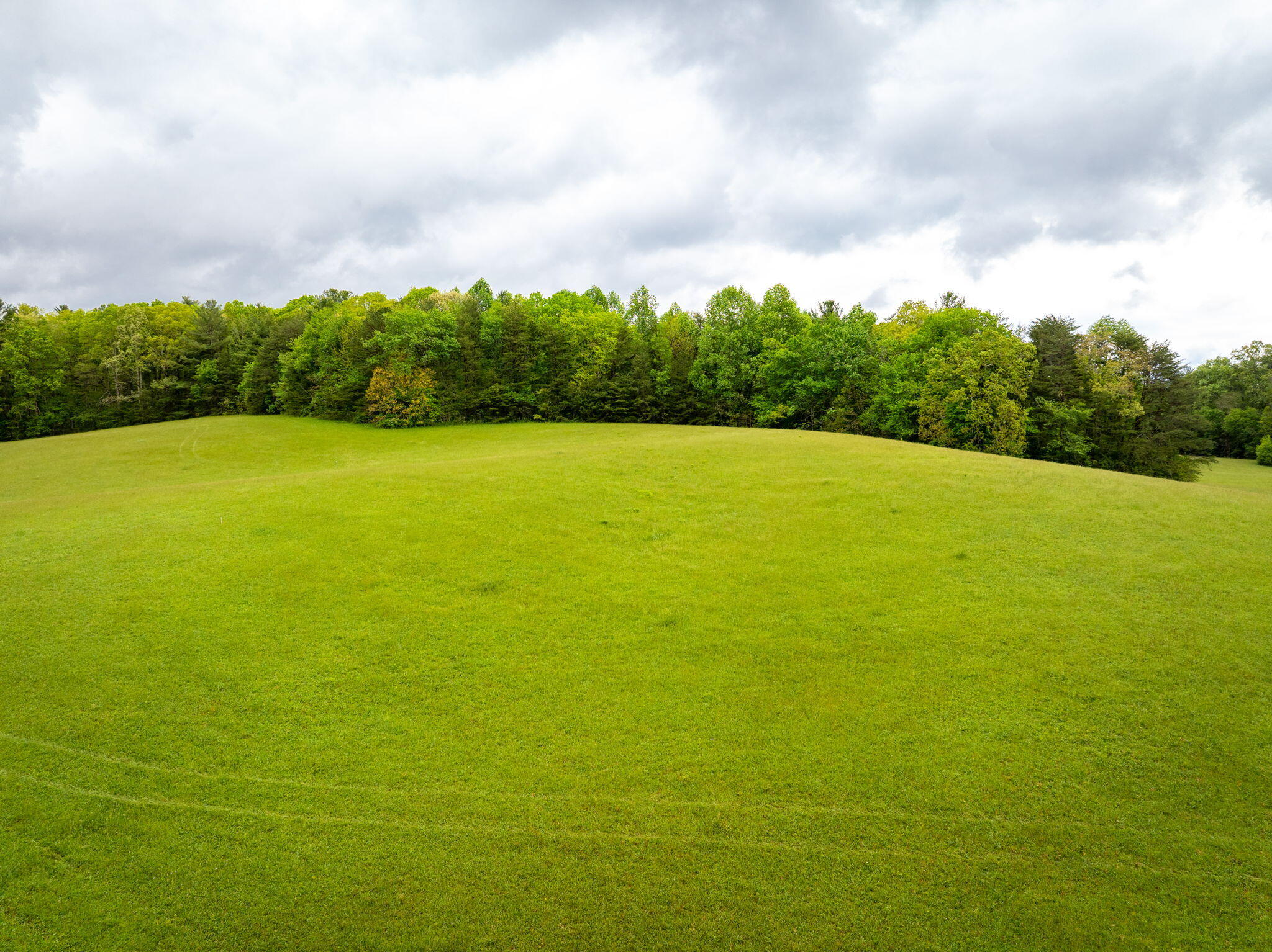 Blaine Smith Road #TRACT 7, Graysville, Tennessee image 5