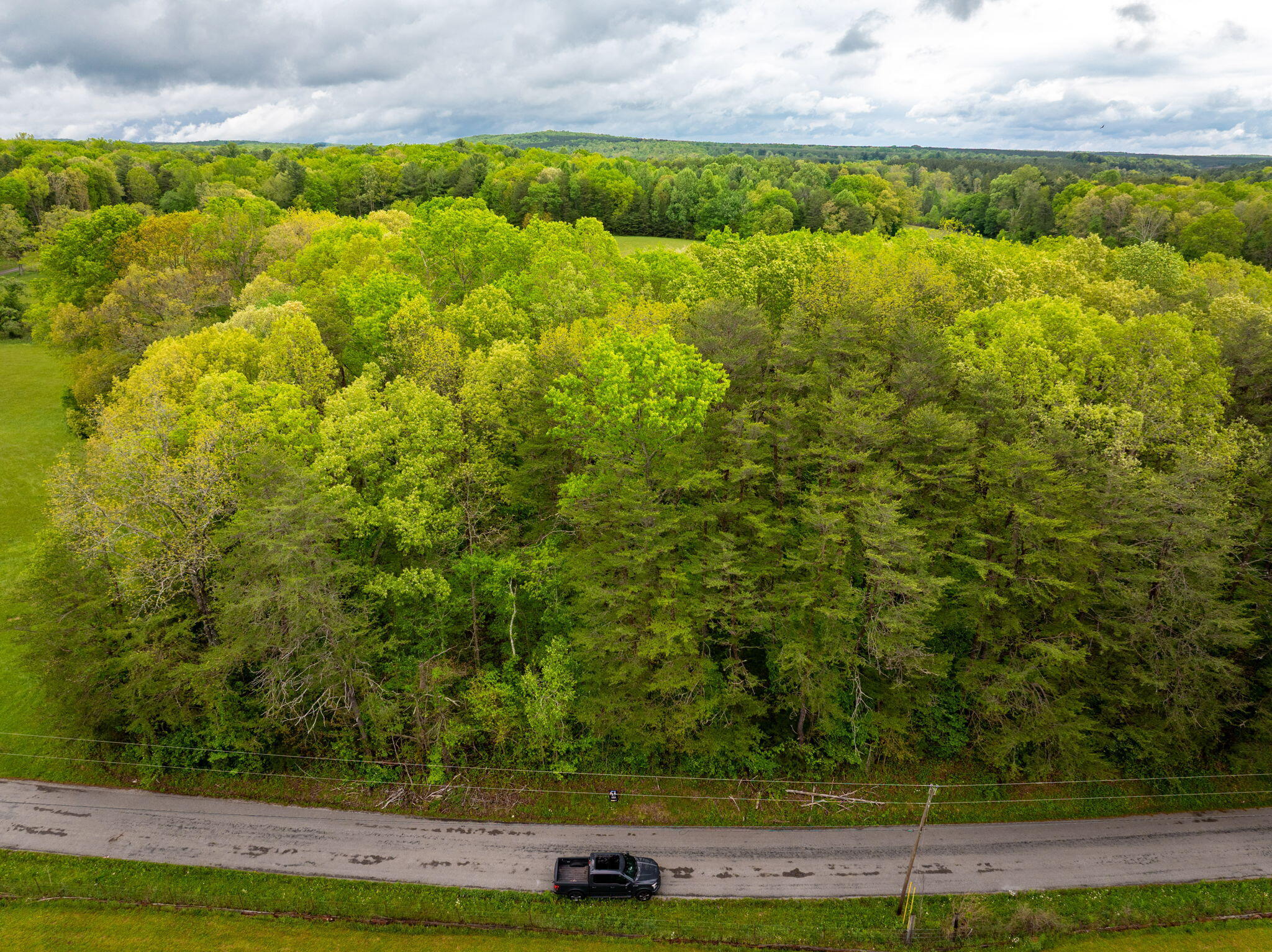Blaine Smith Road #TRACT 7, Graysville, Tennessee image 2