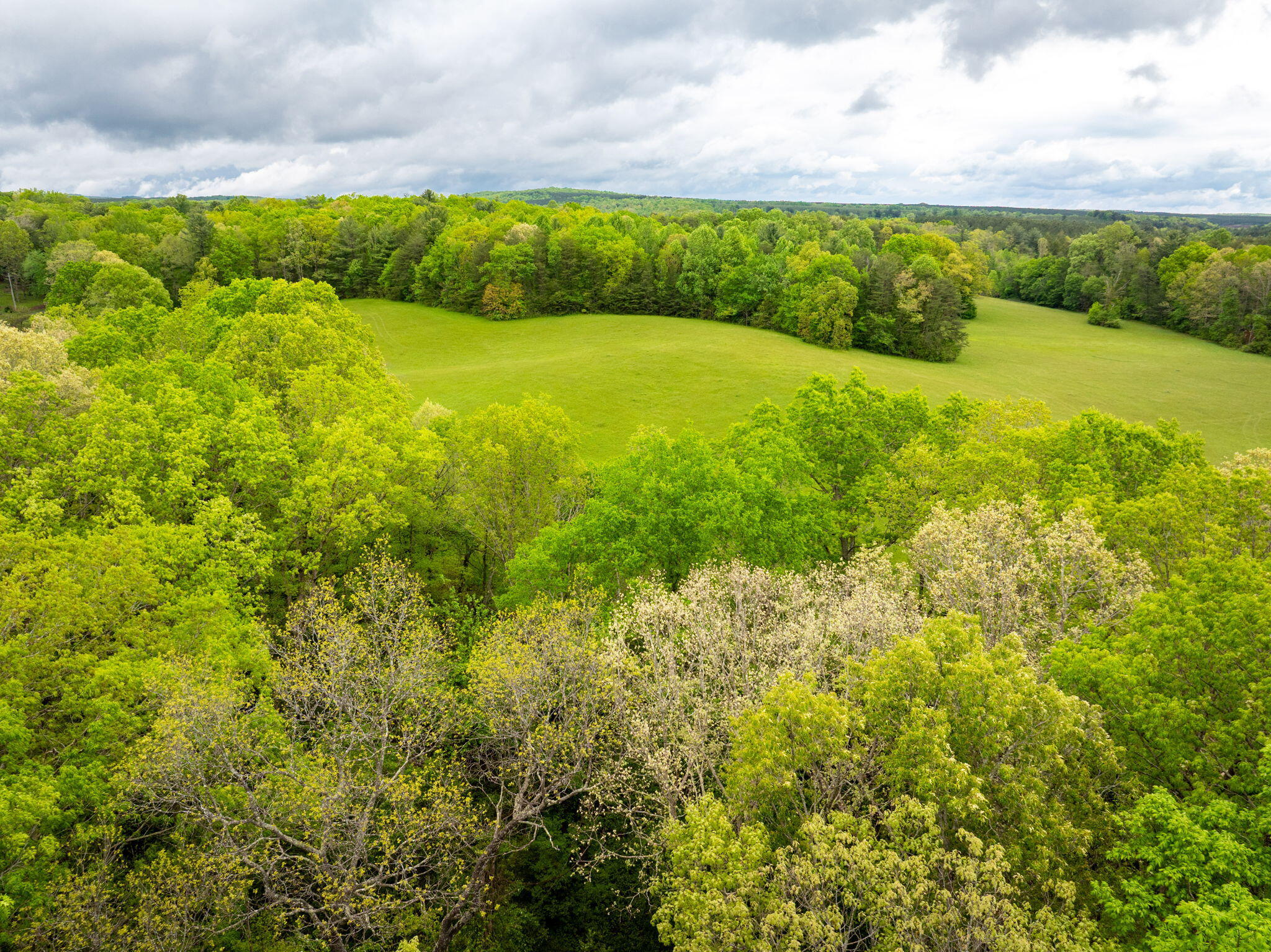 Blaine Smith Road #TRACT 7, Graysville, Tennessee image 3
