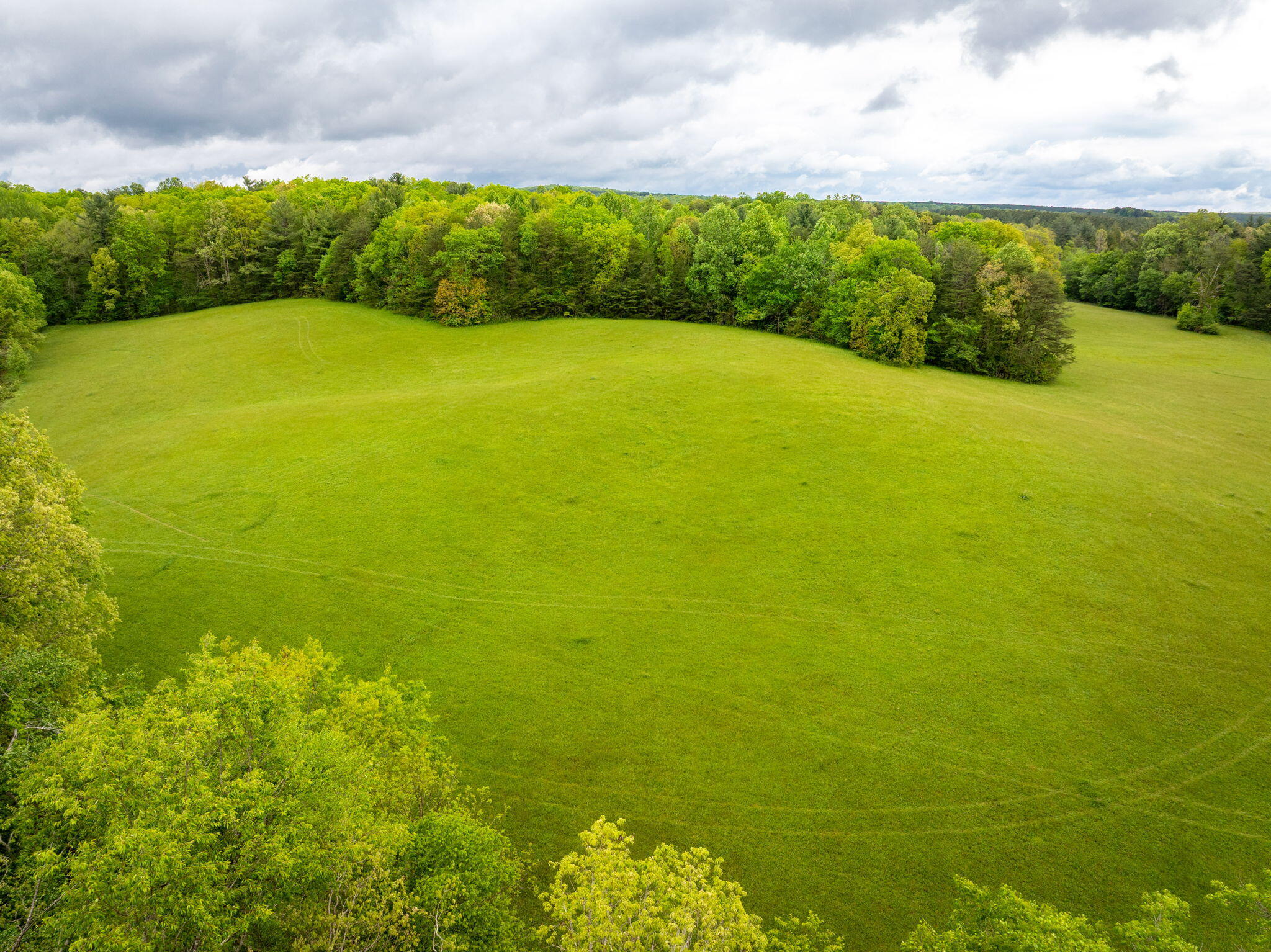 Blaine Smith Road #TRACT 7, Graysville, Tennessee image 4