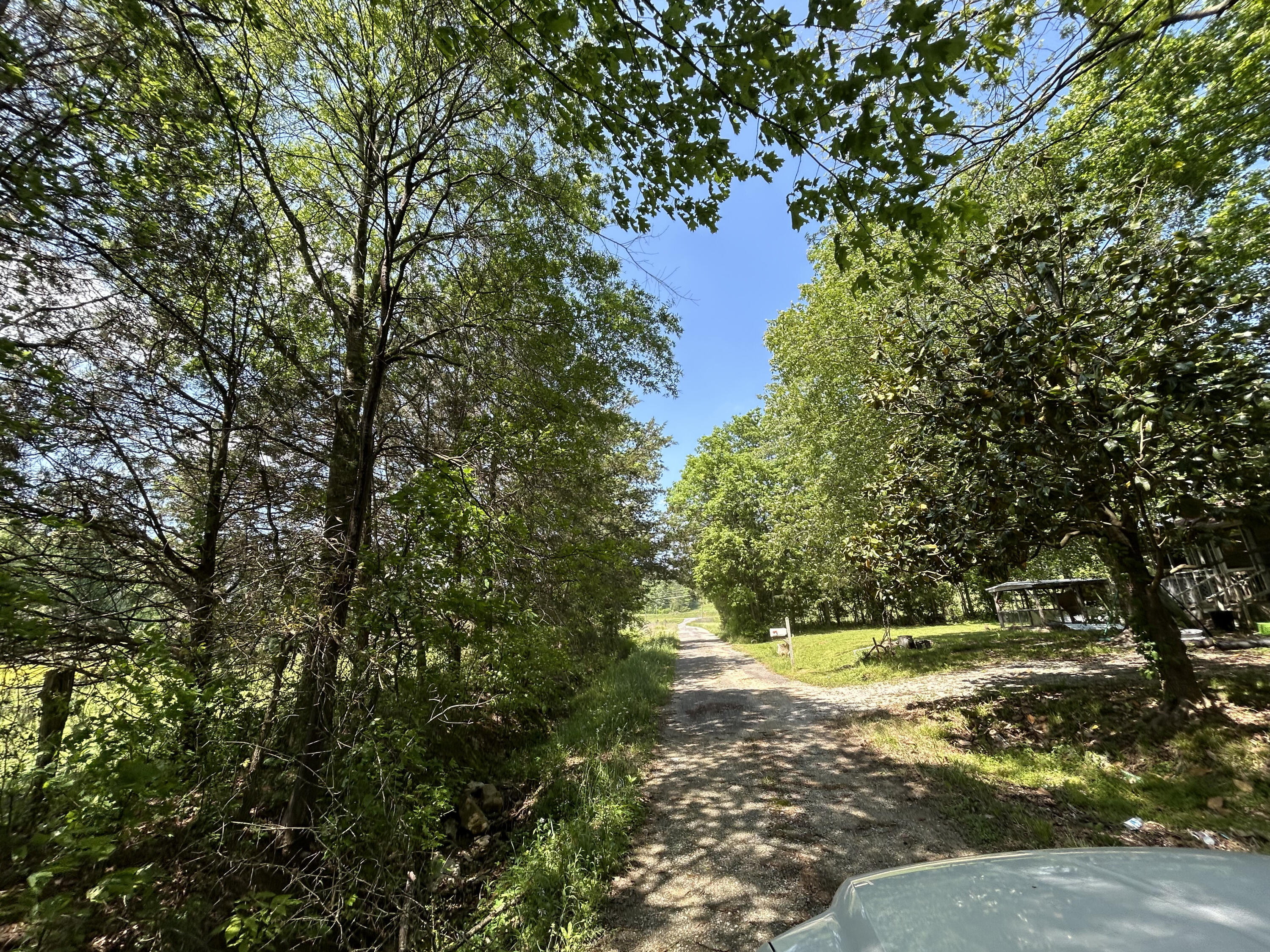 Hazel Drive, Ringgold, Georgia image 11