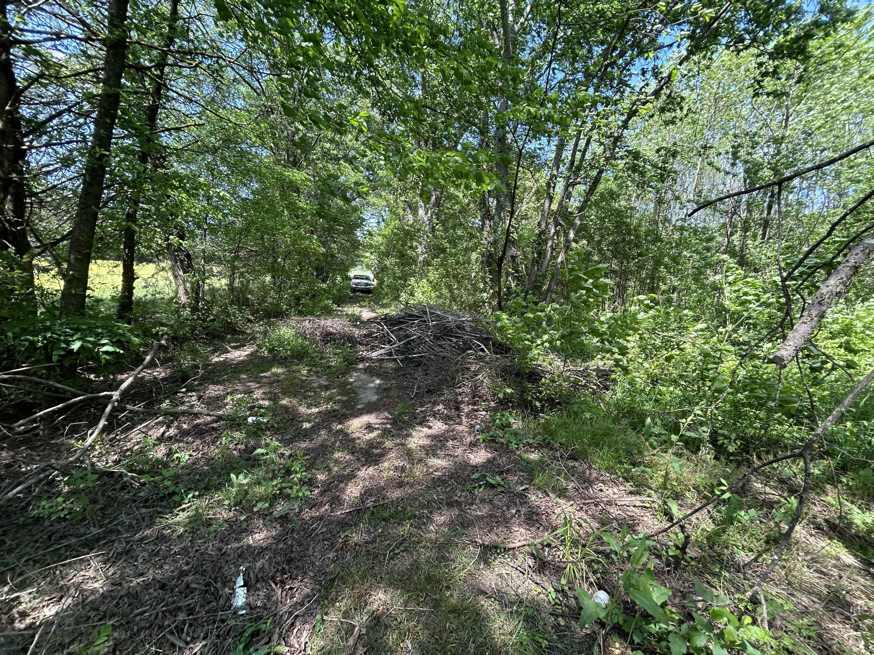 Hazel Drive, Ringgold, Georgia image 8
